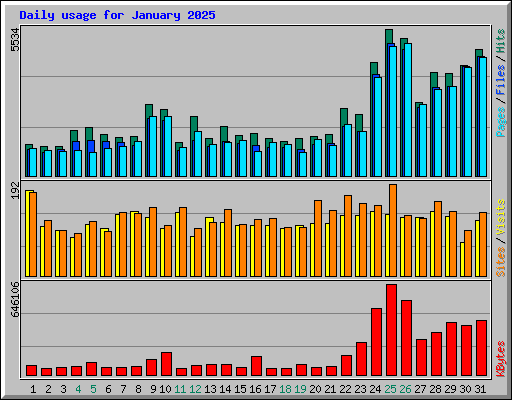 Daily usage for January 2025