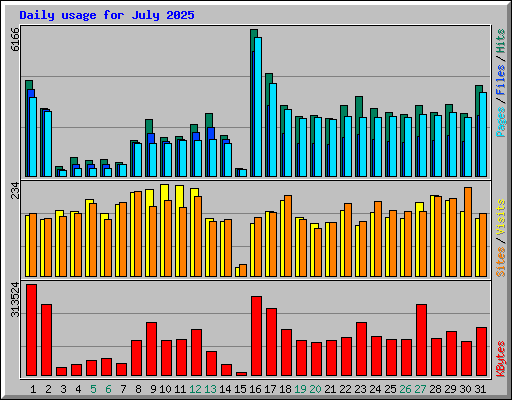 Daily usage for July 2025