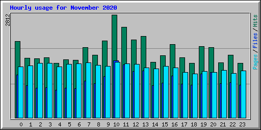 Hourly usage for November 2020