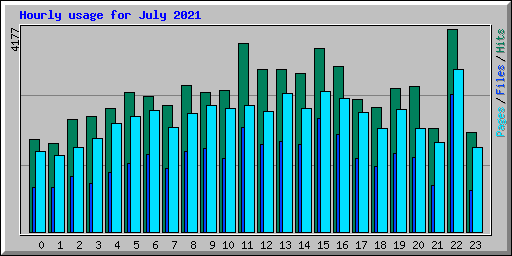 Hourly usage for July 2021