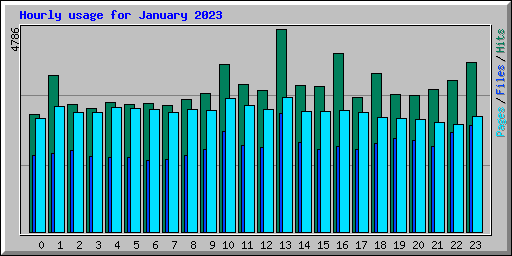 Hourly usage for January 2023