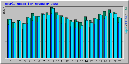 Hourly usage for November 2023