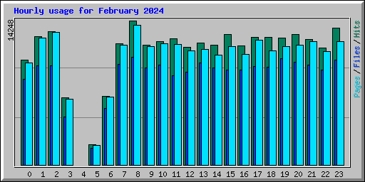 Hourly usage for February 2024