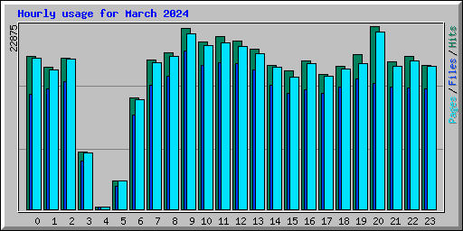 Hourly usage for March 2024