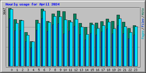 Hourly usage for April 2024