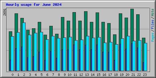 Hourly usage for June 2024