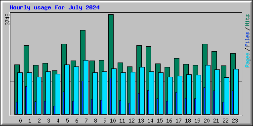 Hourly usage for July 2024