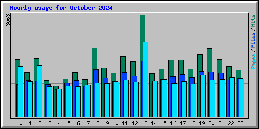 Hourly usage for October 2024