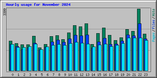 Hourly usage for November 2024