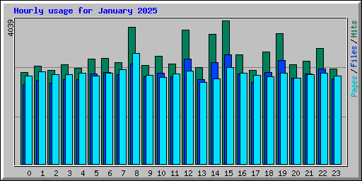 Hourly usage for January 2025