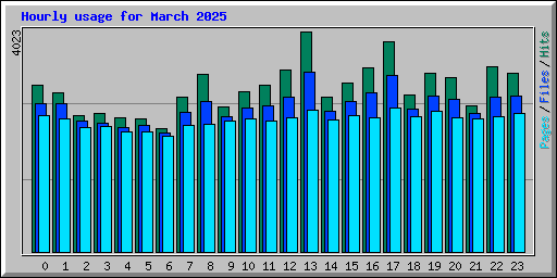 Hourly usage for March 2025