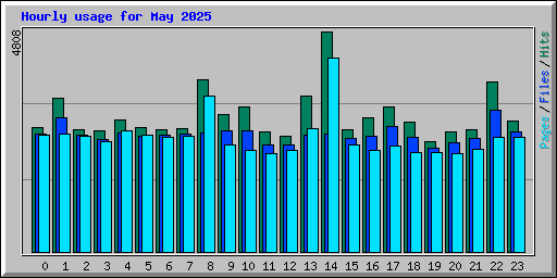 Hourly usage for May 2025