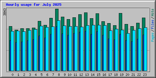 Hourly usage for July 2025