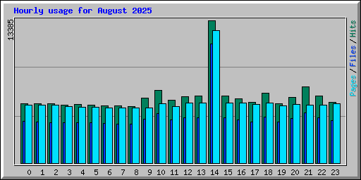 Hourly usage for August 2025