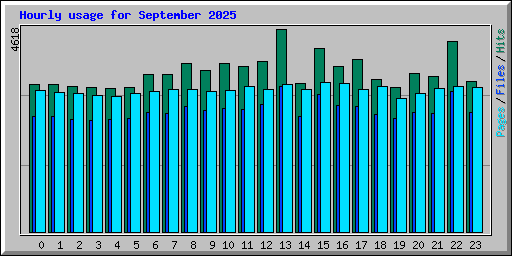 Hourly usage for September 2025