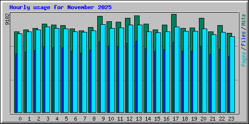 Hourly usage for November 2025