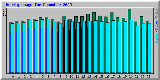 Hourly usage for December 2025