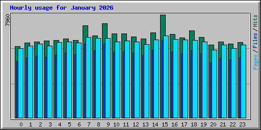 Hourly usage for January 2026