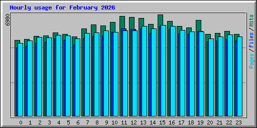Hourly usage for February 2026